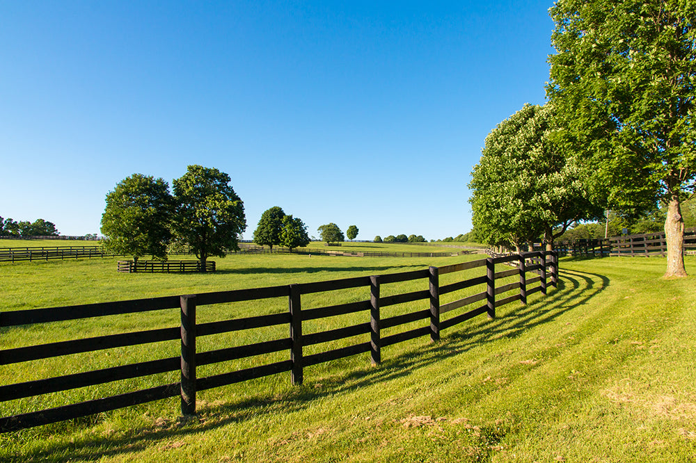 Post & Rail Ranch Fencing